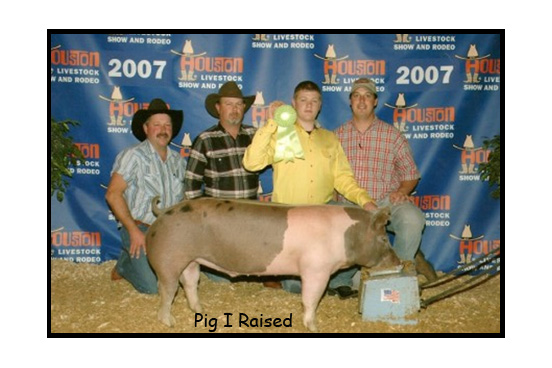 <pig i raised>